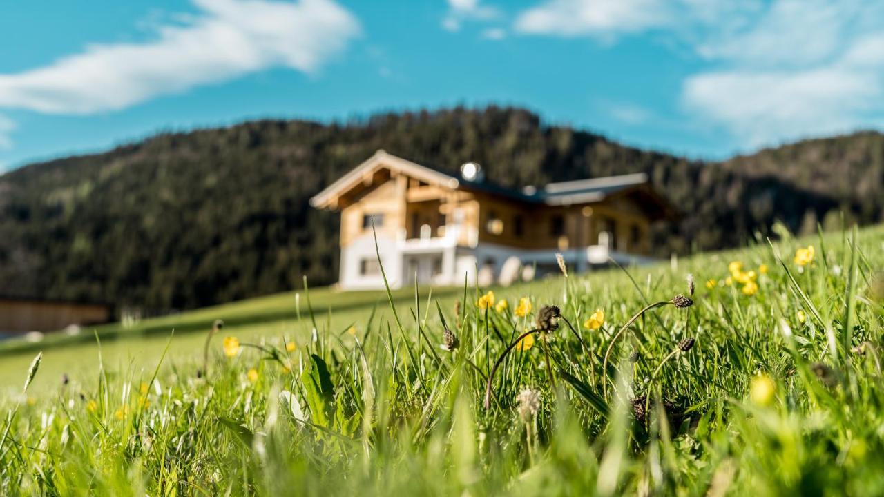 Bio Bauernhof Oberhinterberg Appartement Аннаберґ-ім-Ламмерталь Екстер'єр фото