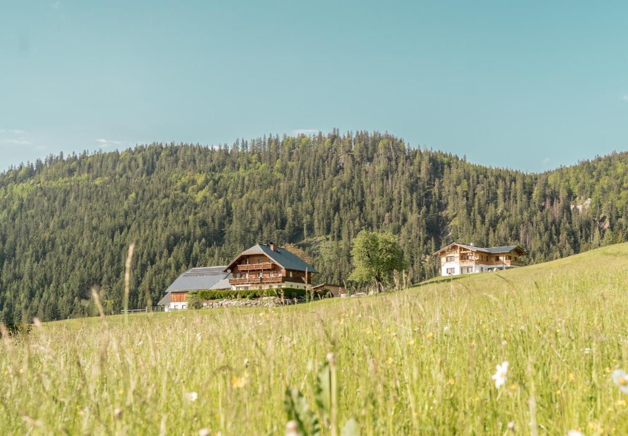 Bio Bauernhof Oberhinterberg Appartement Аннаберґ-ім-Ламмерталь Екстер'єр фото