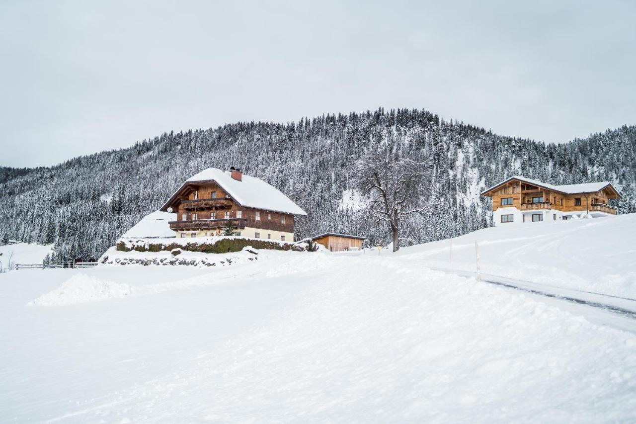 Bio Bauernhof Oberhinterberg Appartement Аннаберґ-ім-Ламмерталь Екстер'єр фото